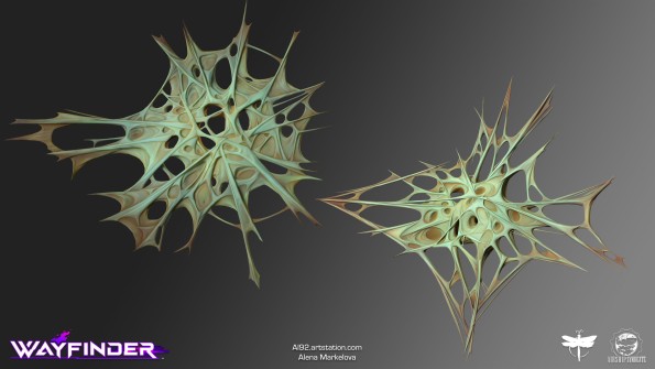 alena-markelova-cmn-cobweb-a-b