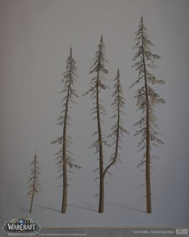 kate-mckee-21-kmckee-zone3-tallpines