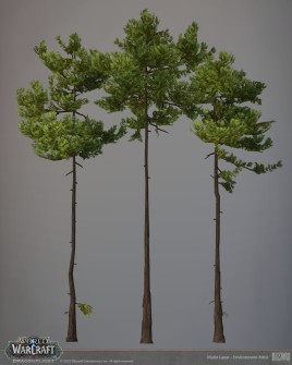marie-lazar-mlazar-scots-pines2